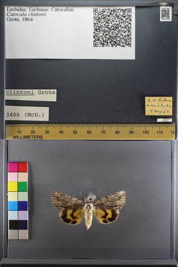 Media type: image;   Entomology 751038